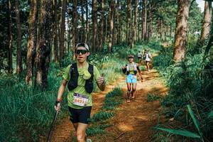 BIB: 
                            <button type="button" onclick="openModal(25743944)" class="btn btn-primary btn-sm float-right btn-popup" data-toggle="modal" data-target=".modal-high-quality">
                        <i class="fas fa-shopping-cart"></i> Add to Cart
                    </button>
                                            <button type="button" onclick="isThisMe(25743944, true)" class="btn btn-success btn-sm float-right btn-popup btn-isme hidden" data-toggle="tooltip" data-placement="bottom" title="นี่คือรูปของคุณใช่ไหม คลิกที่นี่เพื่อเอาเข้าอัลบั้ม">
                        <i class="fas fa-plus"></i> Add to album
                    </button>
                    <button type="button" onclick="isThisMe(25743944, false)" class="btn btn-warning btn-sm float-right btn-popup btn-isnotme hidden">
                        <i class="fas fa-ban"></i> Remove from album
                    </button>